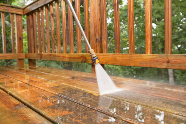Best Animal Enclosure Cleaning  in The Homesteads, TX